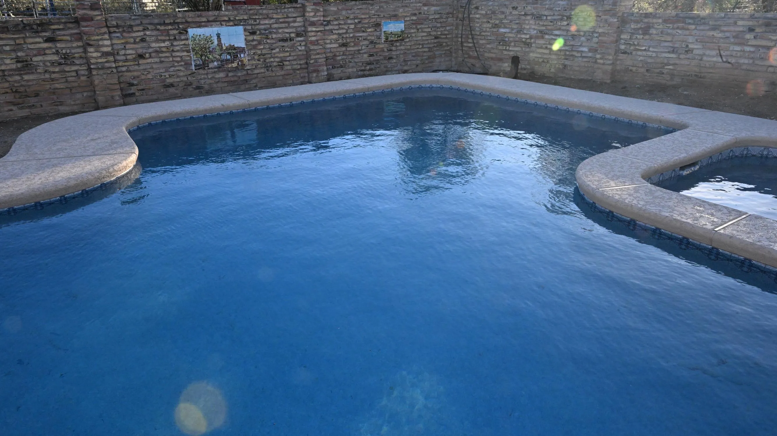 Curved-edge backyard pool with desert mountain views in Tucson by Sorce Signature Outdoors