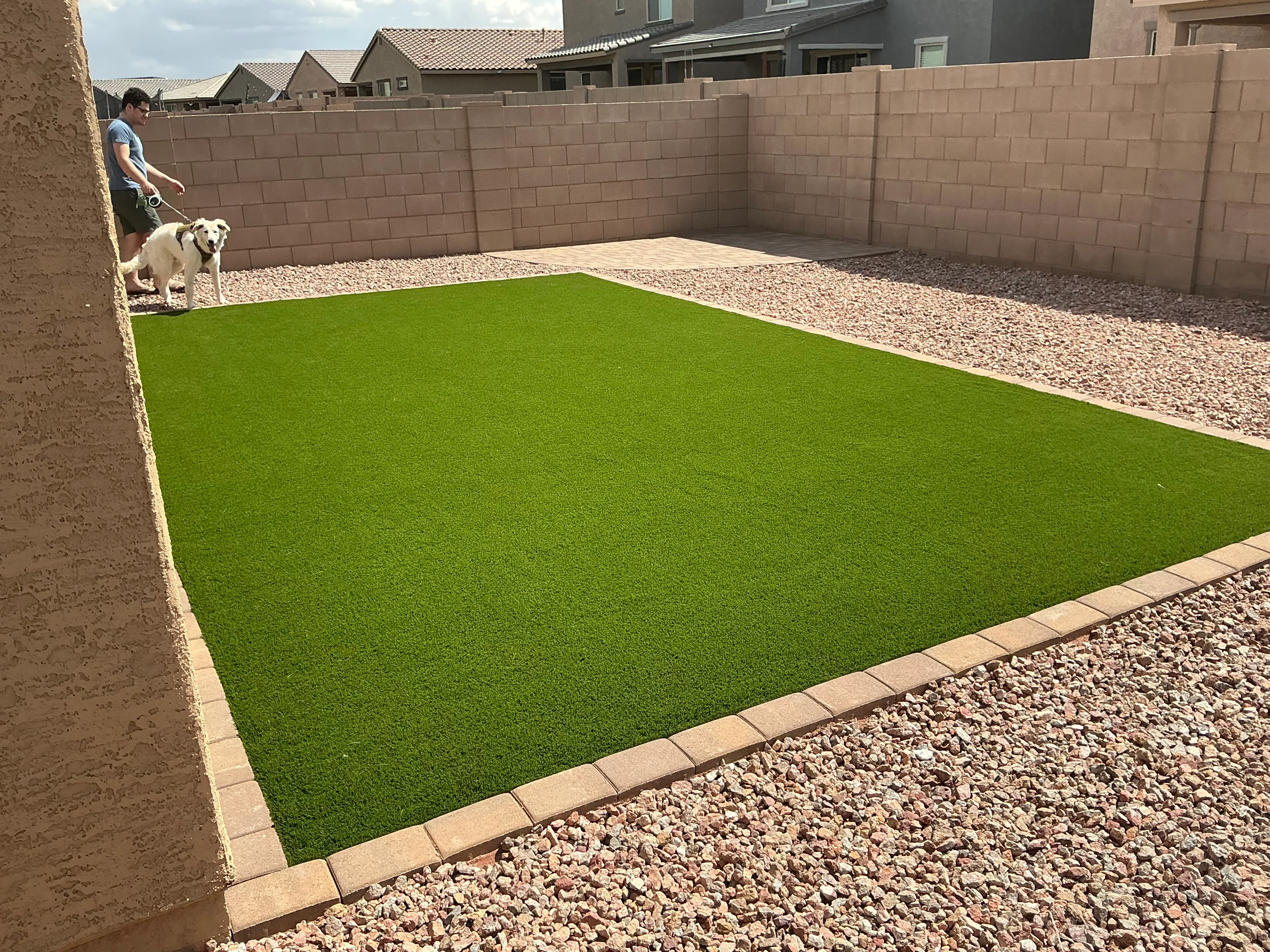 Pet-friendly artificial turf yard with a dog in Tucson by Sorce Signature Outdoors
